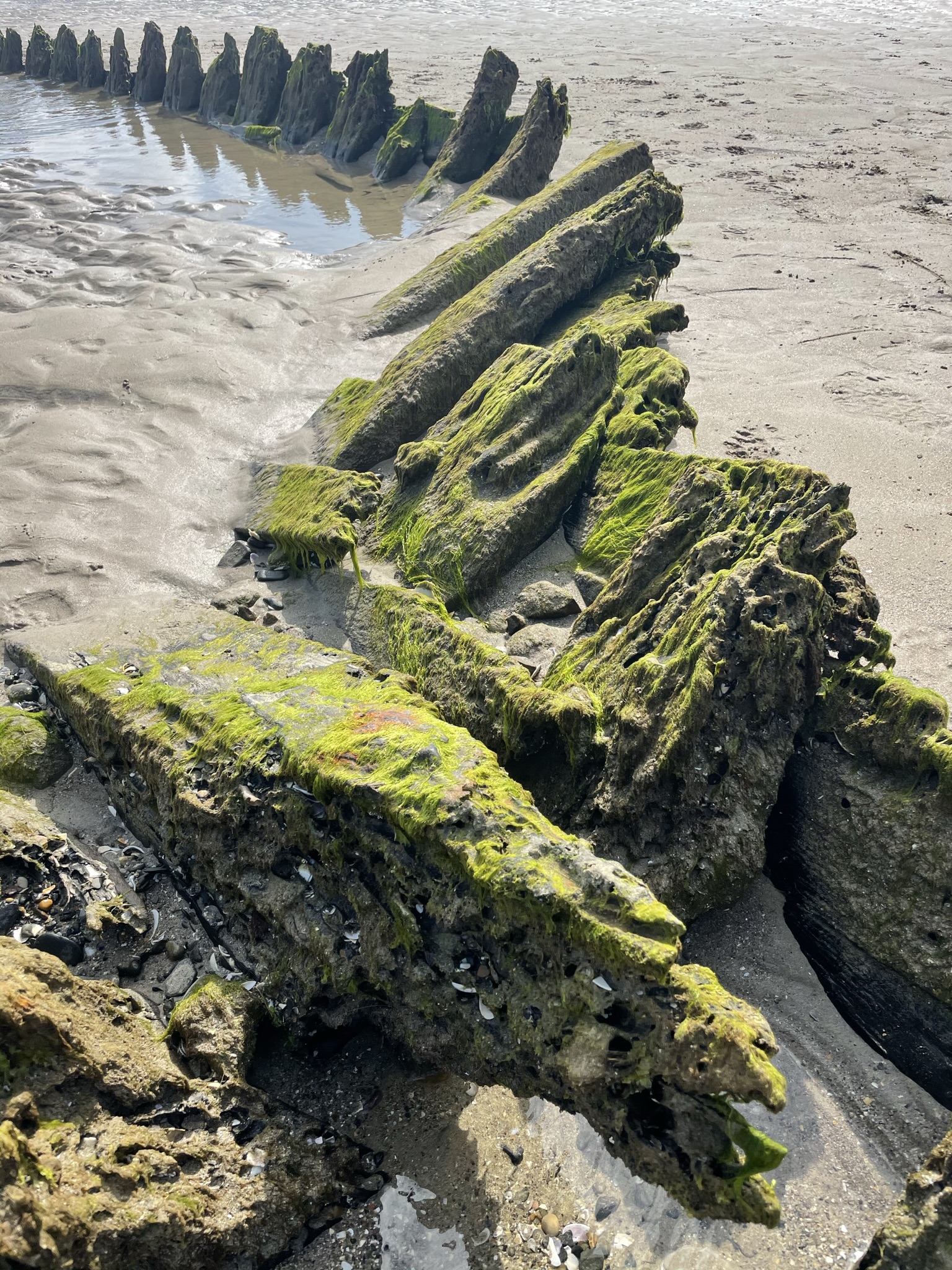 Epave à l'Aber